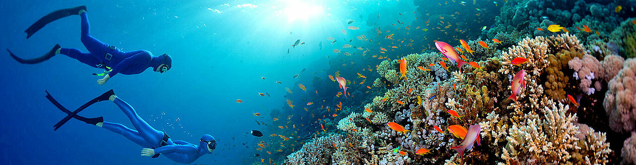 Taucher vor einem Korallenriff